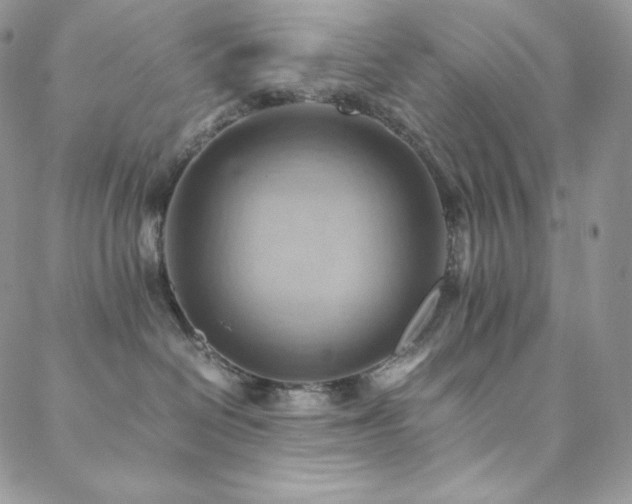 X0000088600286200705251222