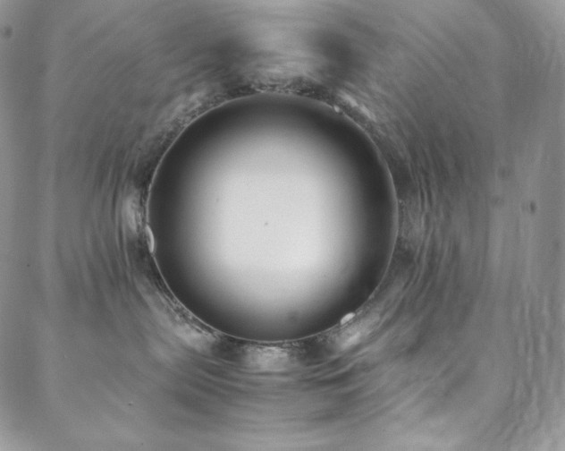 X0000088600287200705251222