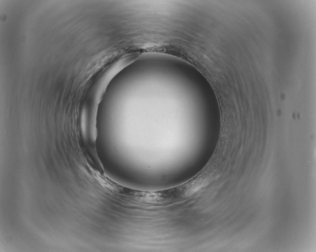 X0000088600288200705251222