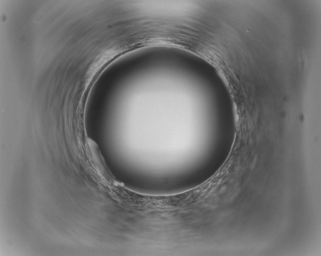 X0000088600289200705251221