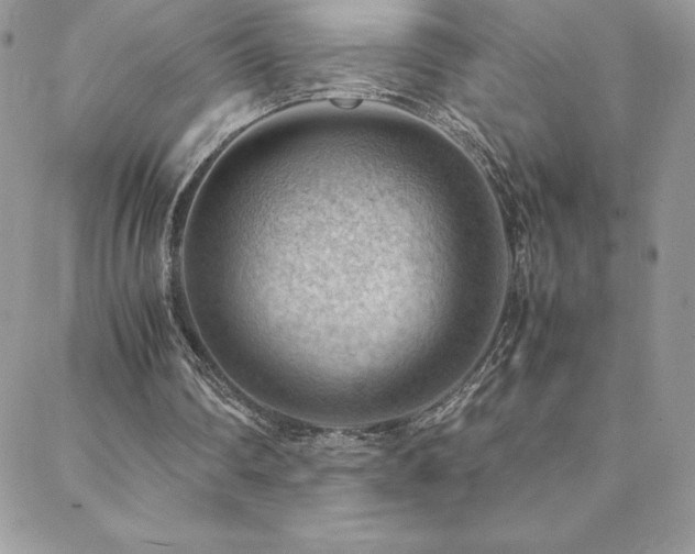 X0000088600290200705251221