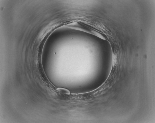 X0000088600291200705251221