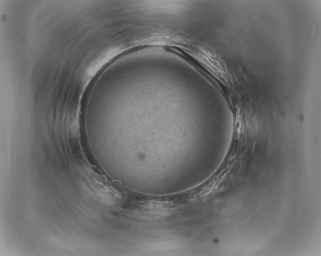 X0000088600292200705251221