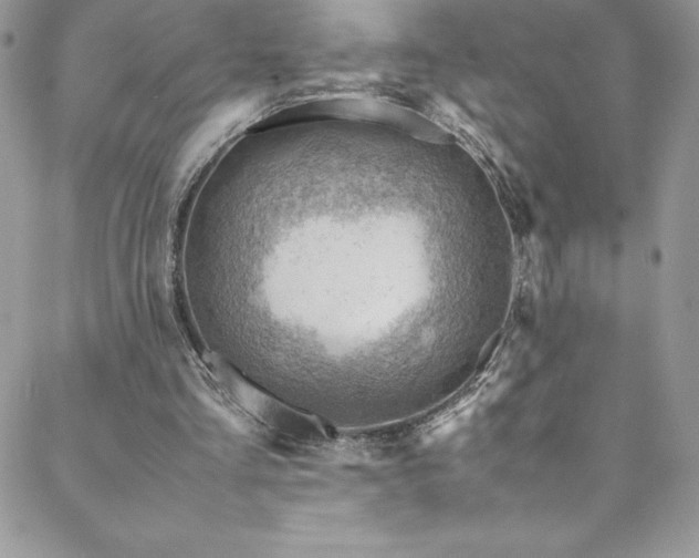 X0000088600293200705251221