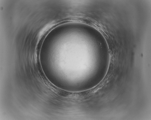 X0000088600294200705251221