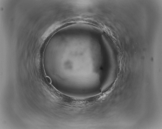 X0000088600295200705251221