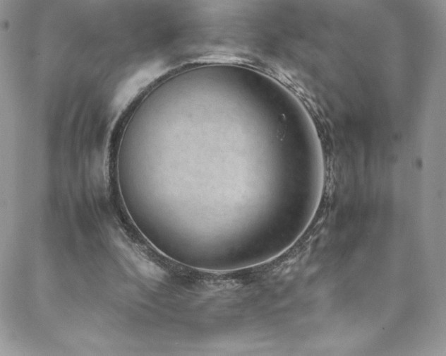 X0000088600296200705251221