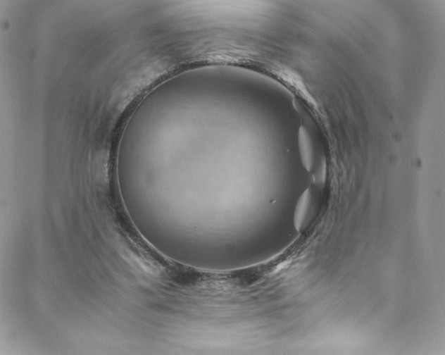 X0000088600299200705251221