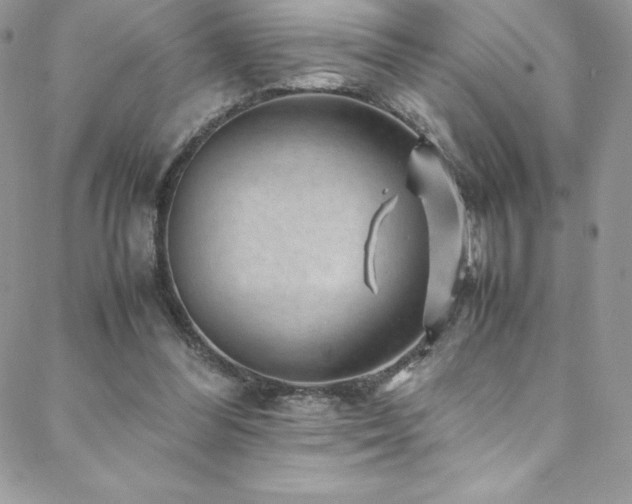 X0000088600300200705251221