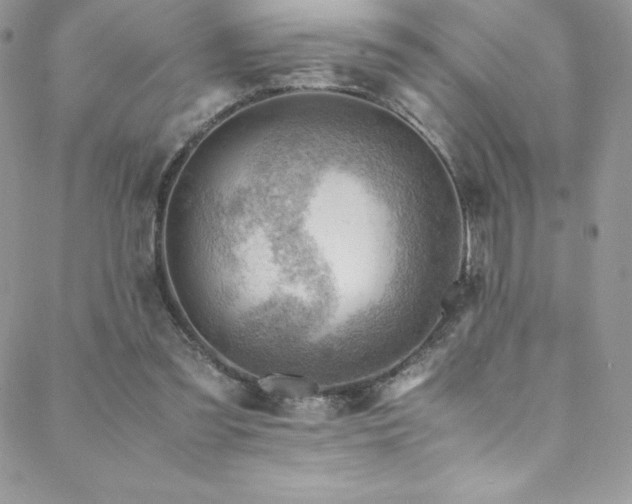 X0000088600301200705251221