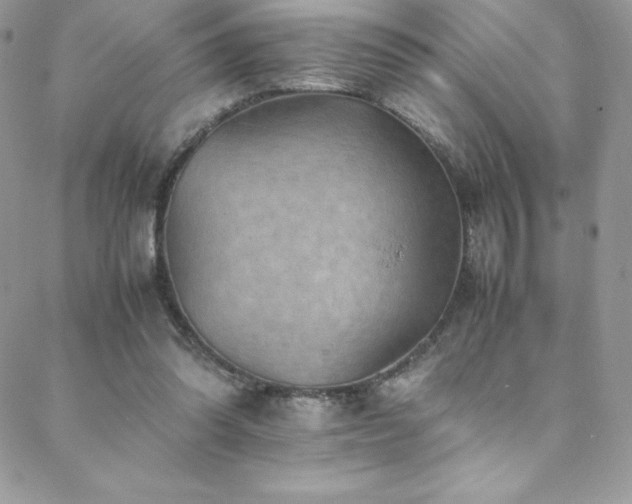 X0000088600302200705251221