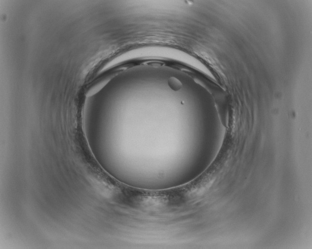 X0000088600303200705251221