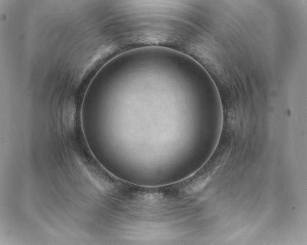 X0000088600304200705251221