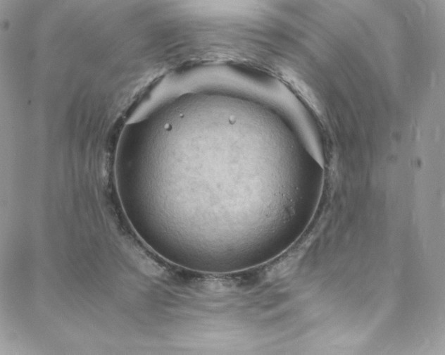 X0000088600305200705251221