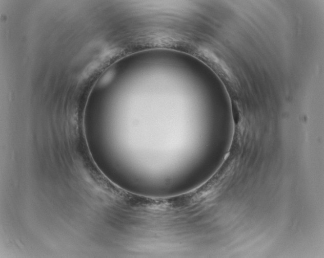 X0000088600306200705251221