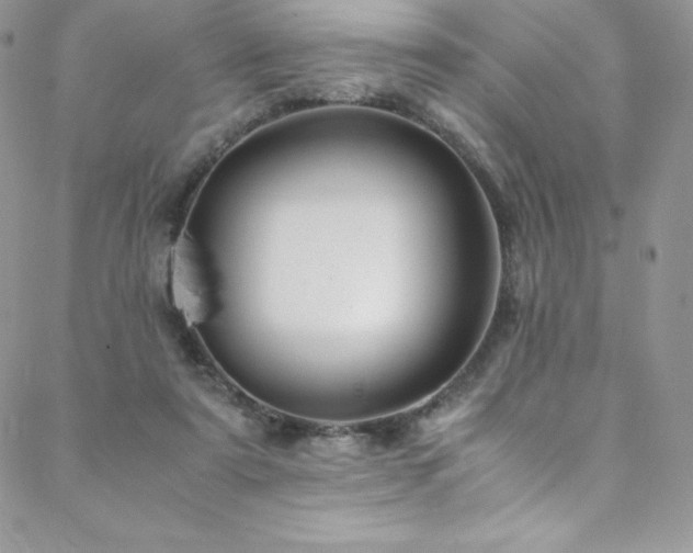 X0000088600307200705251221