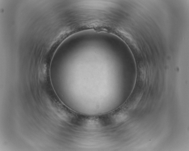 X0000088600308200705251221