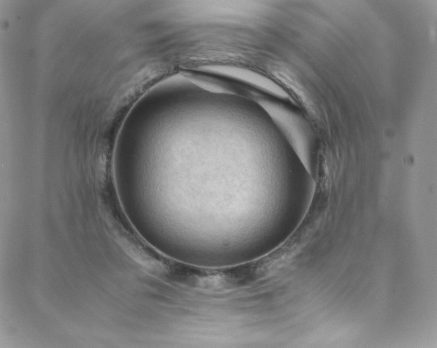 X0000088600309200705251221