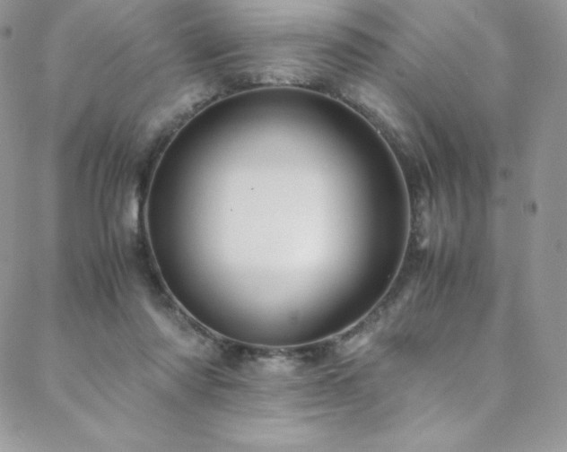 X0000088600310200705251221