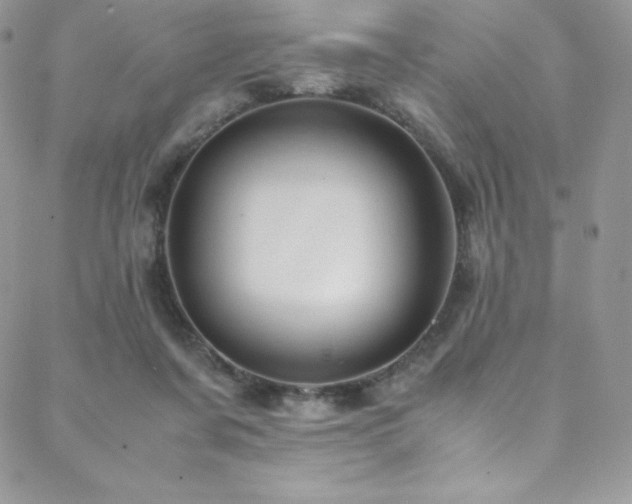 X0000088600311200705251221