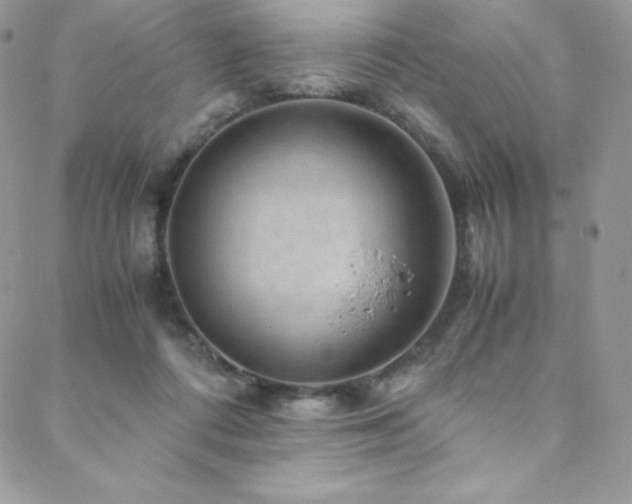 X0000088600312200705251221