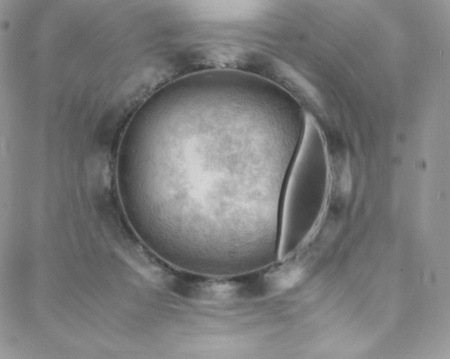 X0000088600313200705251221