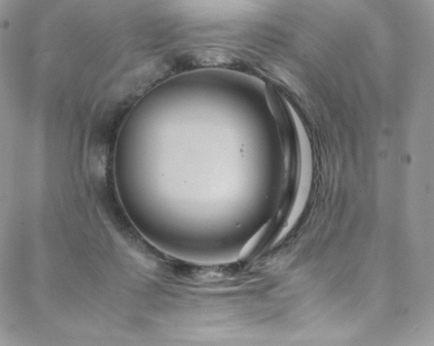 X0000088600315200705251220