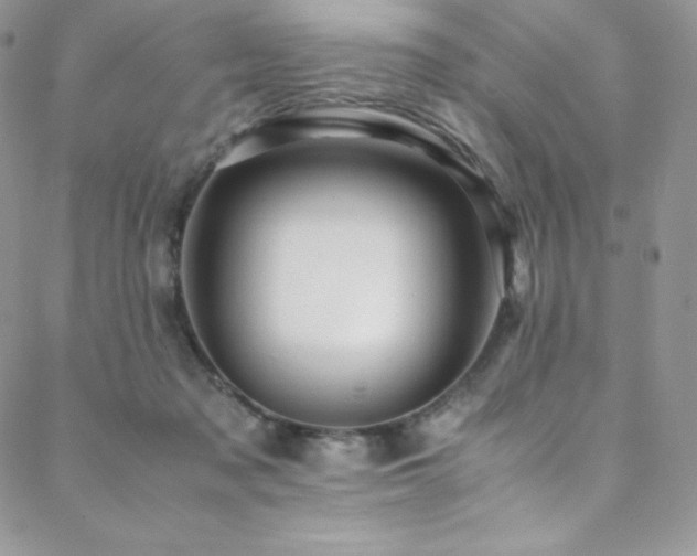 X0000088600317200705251220