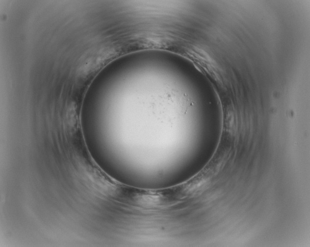 X0000088600318200705251220