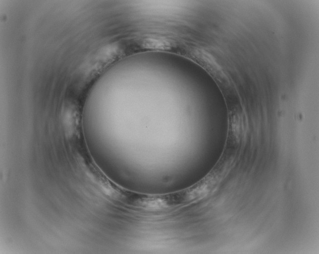 X0000088600322200705251220