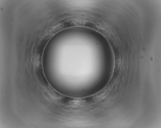 X0000088600323200705251220