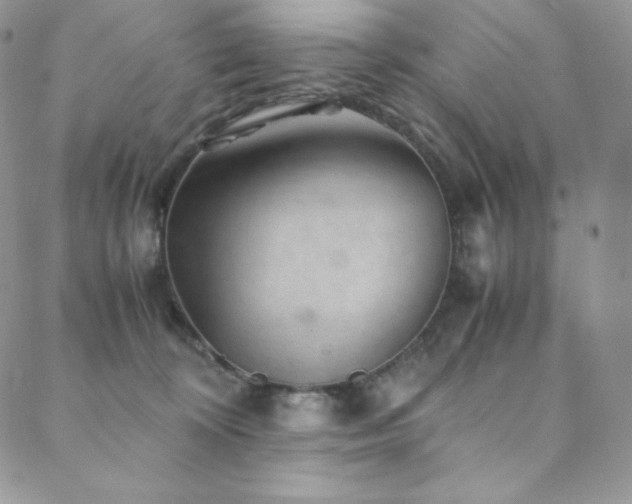 X0000088600324200705251220