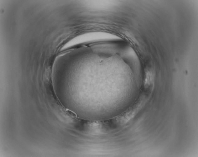 X0000088600325200705251220