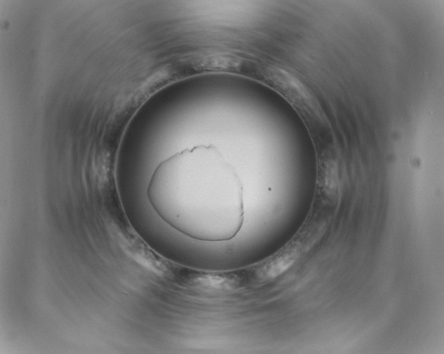 X0000088600326200705251220