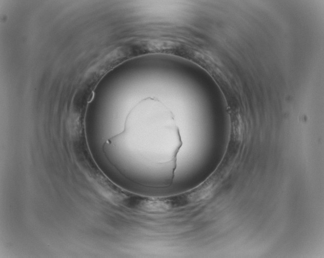 X0000088600327200705251220