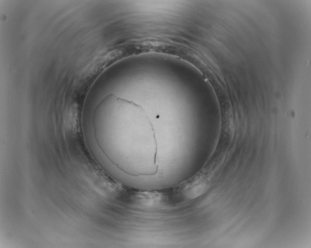 X0000088600328200705251220