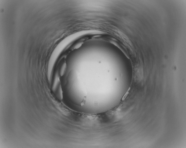 X0000088600329200705251220