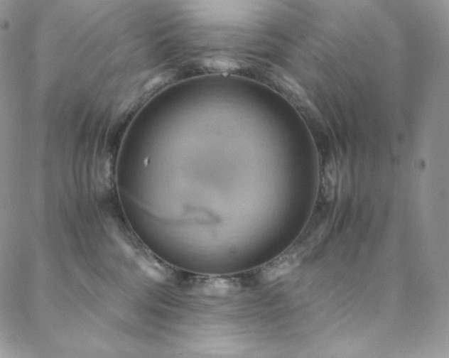 X0000088600330200705251220