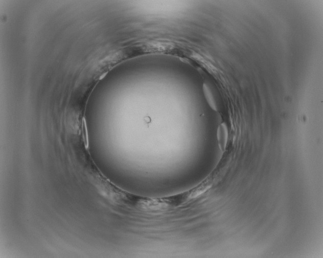 X0000088600331200705251220