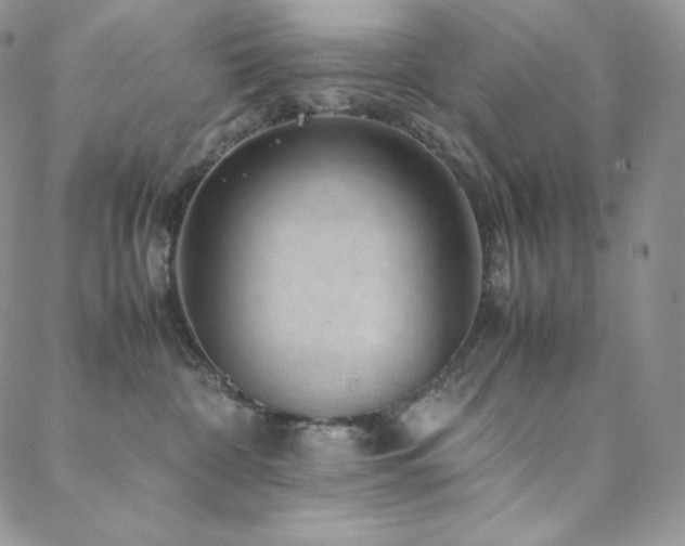 X0000088600332200705251220