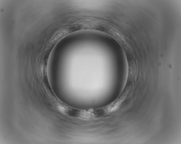 X0000088600333200705251220