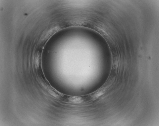 X0000088600334200705251220