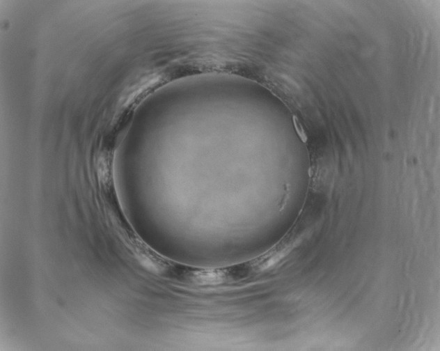 X0000088600335200705251220