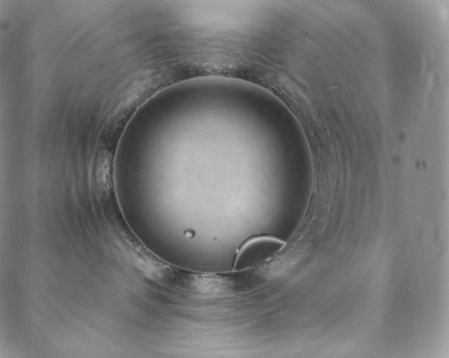 X0000088600336200705251220