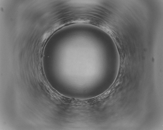 X0000088600337200705251219