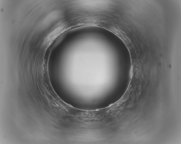 X0000088600338200705251219