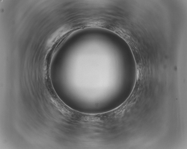 X0000088600339200705251219