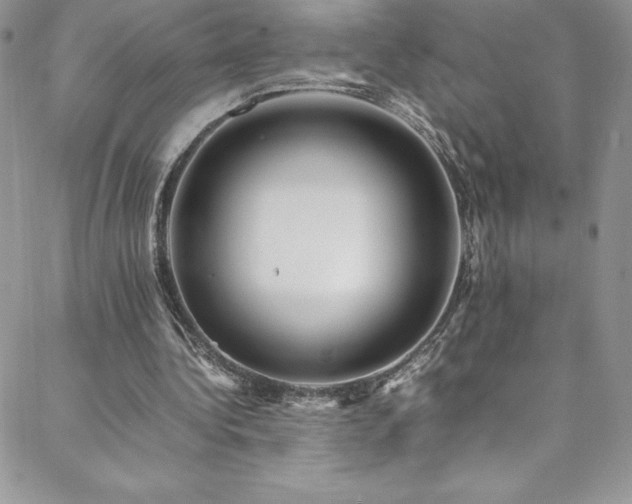 X0000088600340200705251219