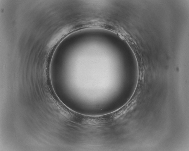 X0000088600341200705251219