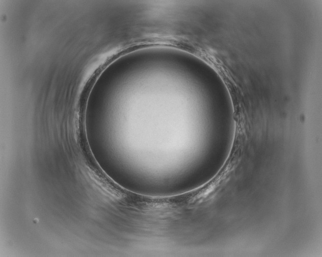 X0000088600342200705251219